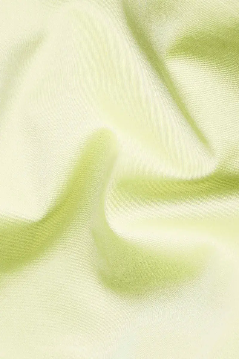 Arylide Green Subtle Sheen Super Soft Premium Cotton Shirt 2