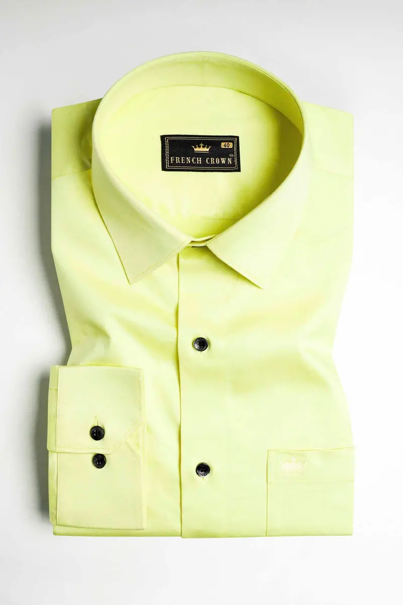Arylide Green Subtle Sheen Super Soft Premium Cotton Shirt 3