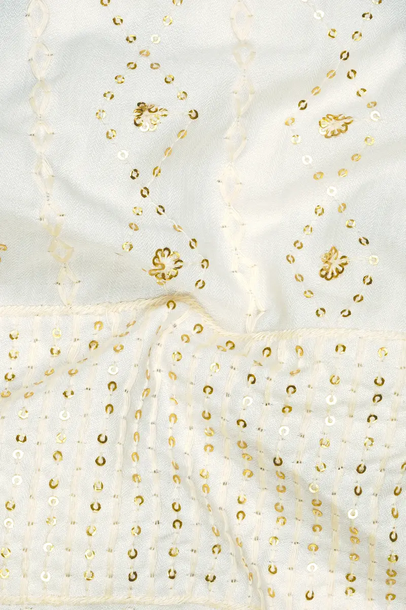 Aurevia-Albescent Cream With Sequin Embroidered Designer Stretchable Waistband Pant 3