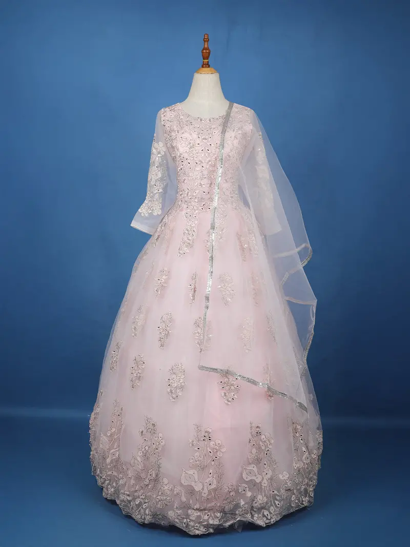 Baby Pink Floral Embroidered Design Net Ball Gown 1