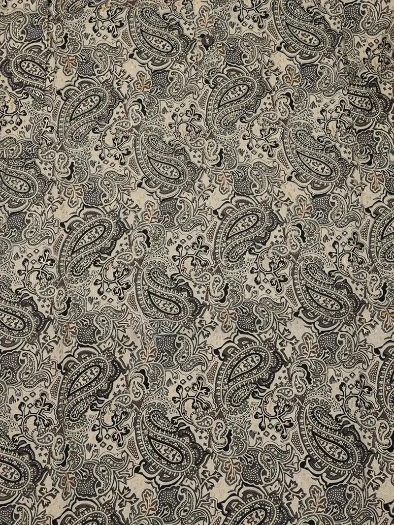 Beige Paisley Printed Cotton Rayon Kurti 2