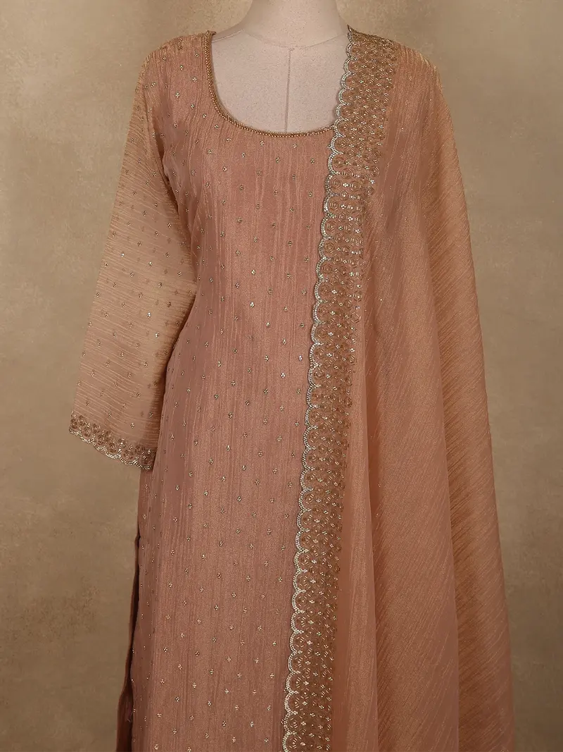 Beige Sequins Embroidered Design Tissue Silk Straight Cut Salwar Suit 2