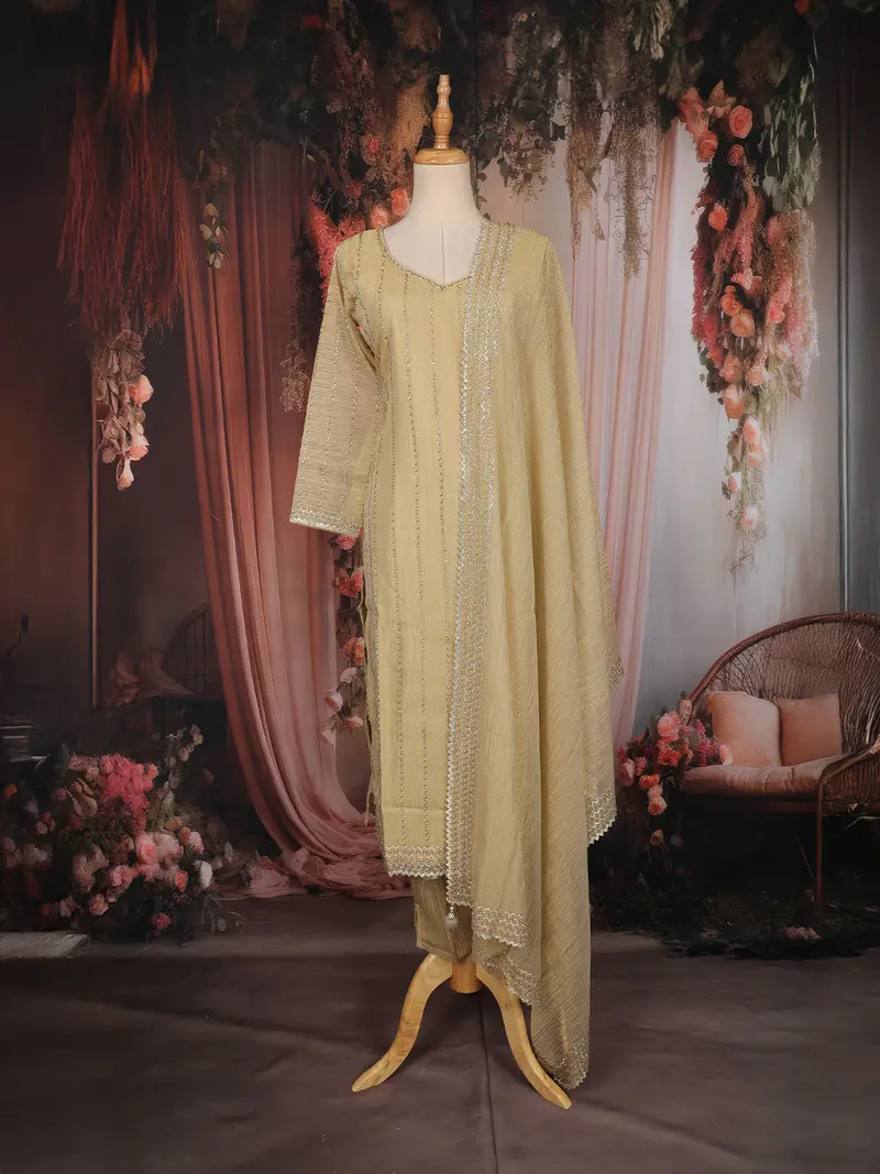 Beige Stripes Bead Design Tissue Organza Salwar Suit 1