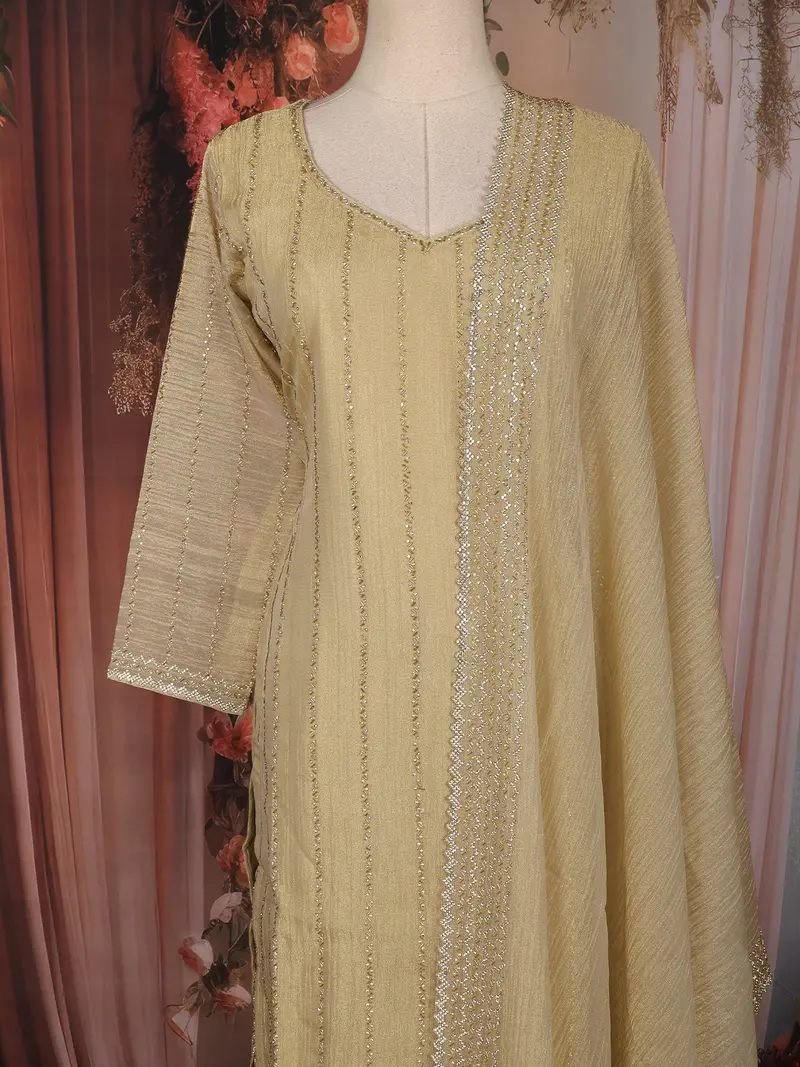 Beige Stripes Bead Design Tissue Organza Salwar Suit 2