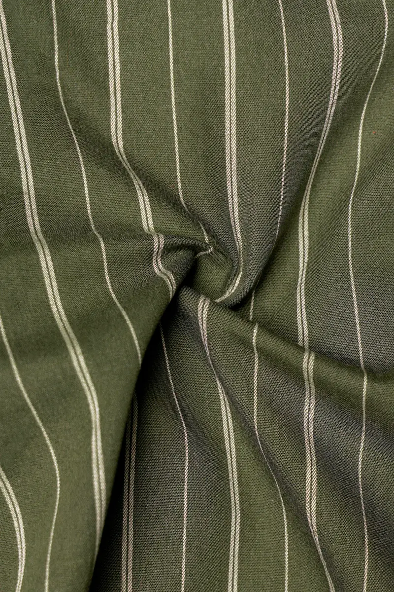 Beryl-Hemlock Green Striped Oxford Premium Cotton Shorts 3