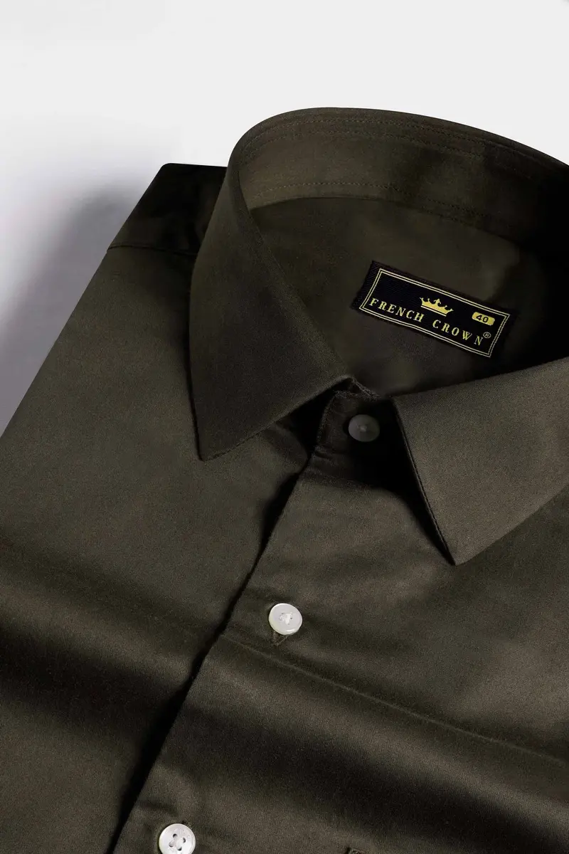Birch Green Subtle Sheen Super Soft Premium Cotton Shirt 1