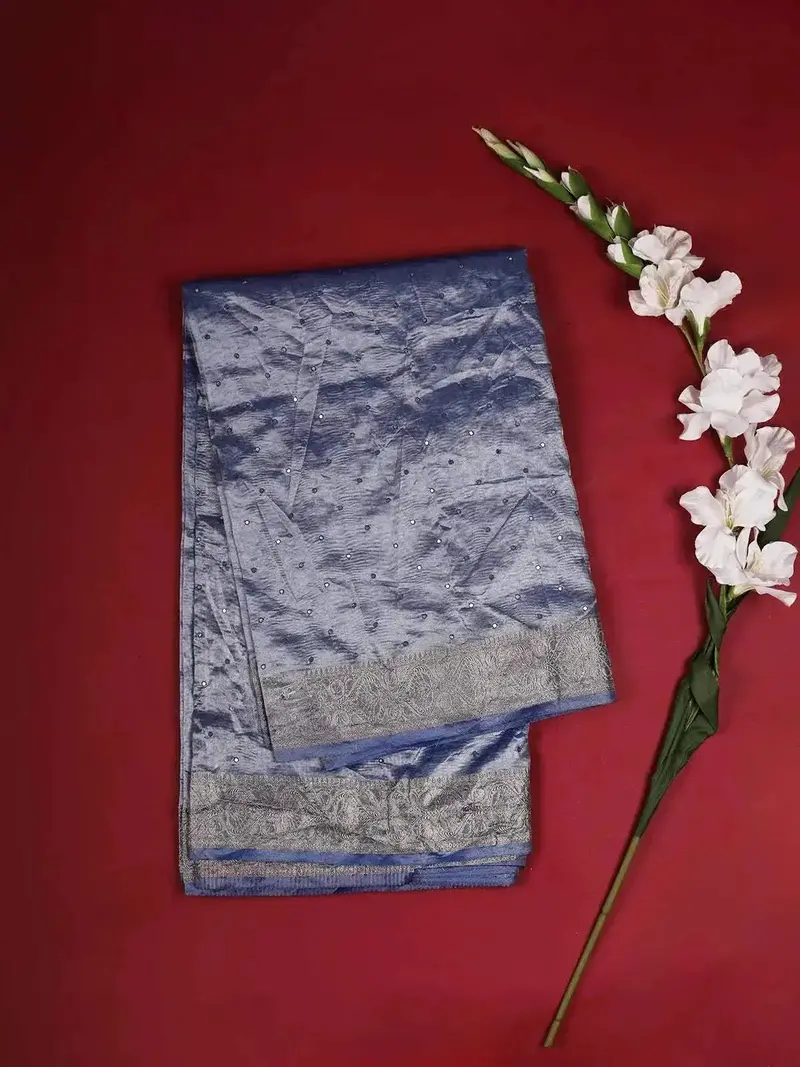 Blue Organza Saree With Mirror  Embroidery On The Body With Designed Border 1