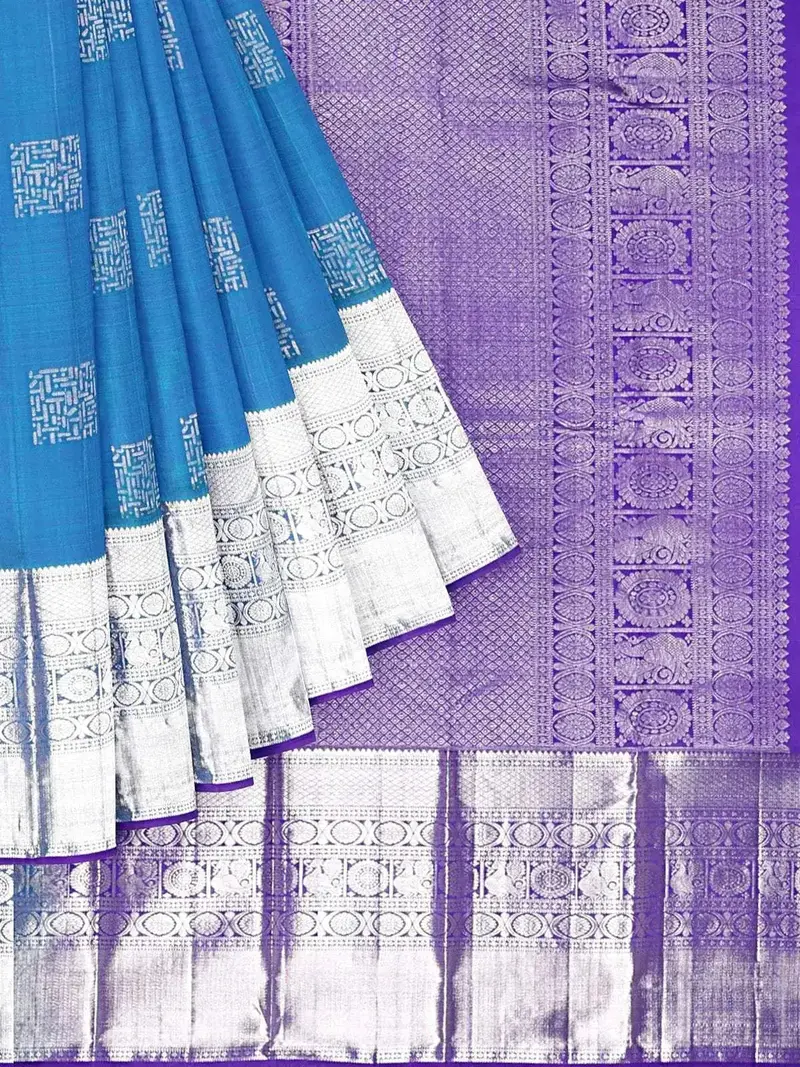 Blue Pure Kanchi Pattu Saree With Zari Butta On The Body And Contrast Zari Border 1