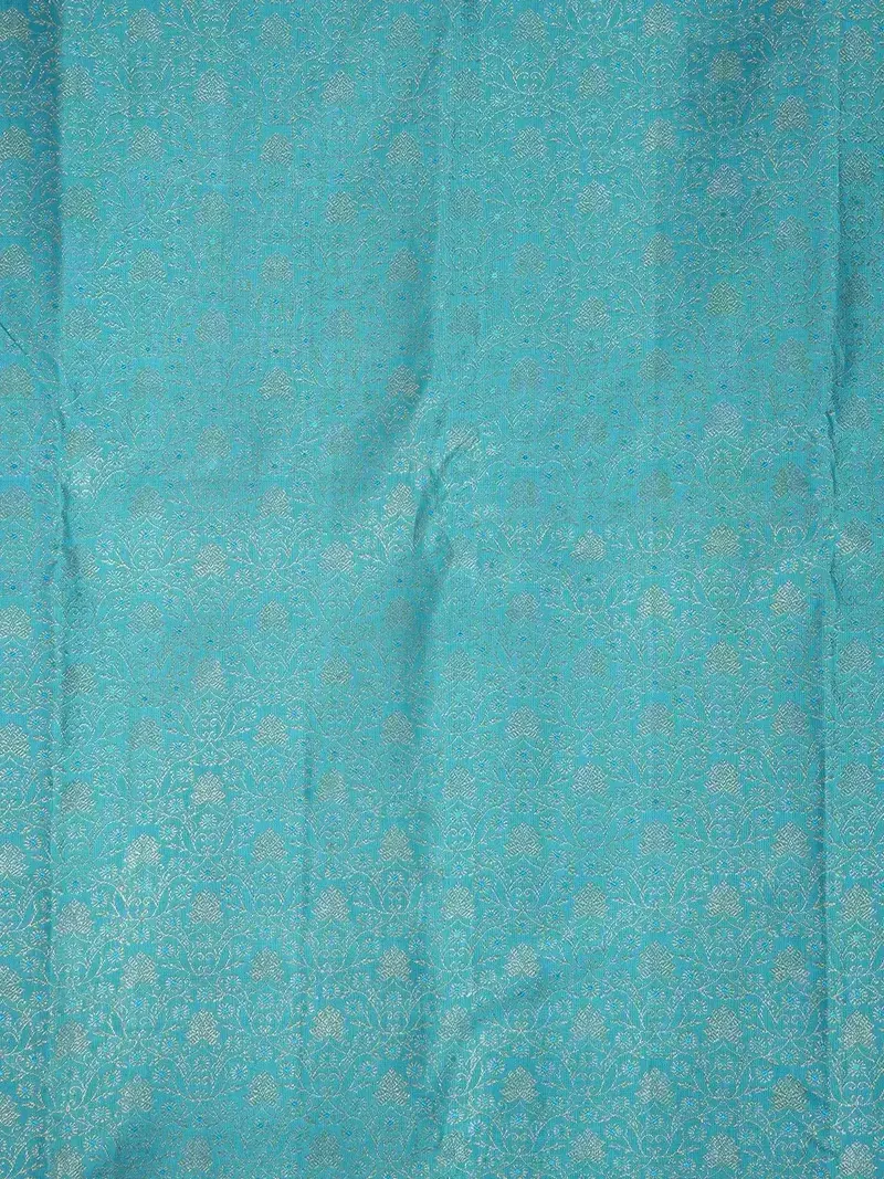 Blue Pure Kanchipuram Silk Saree With Floral Patterns On The Body With Designed Border 2