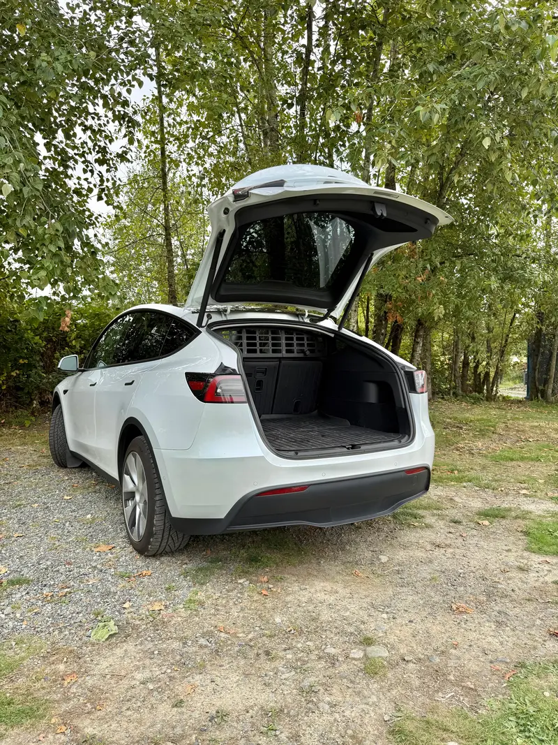 Bpf Molle Style Pet Barrier Tesla Model Y 2020-Current 2