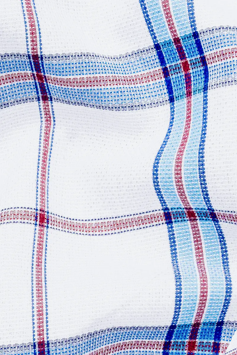 Bright White And Pale Aqua Plaid Dobby Textured Premium Giza Cotton Shirt 2