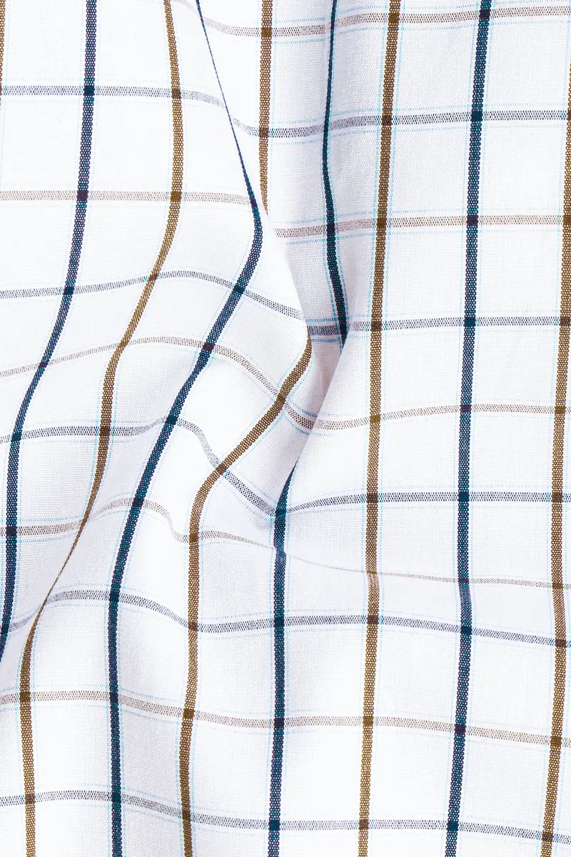 Bright White With Tealish Blue And Ironstone Brown Windowpane Giza Cotton Shirt 2