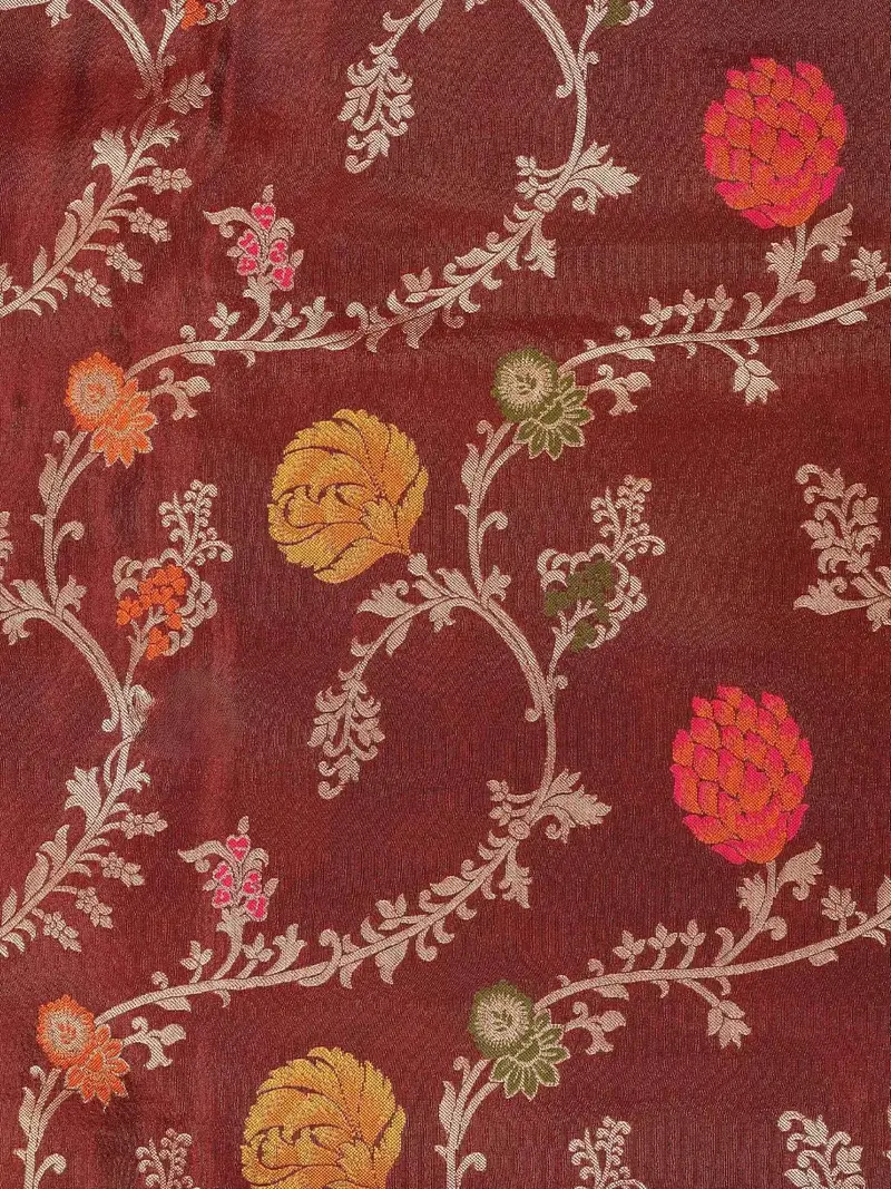 Brown Banarasi Saree With Floral Design On The Body With Zari Border 2