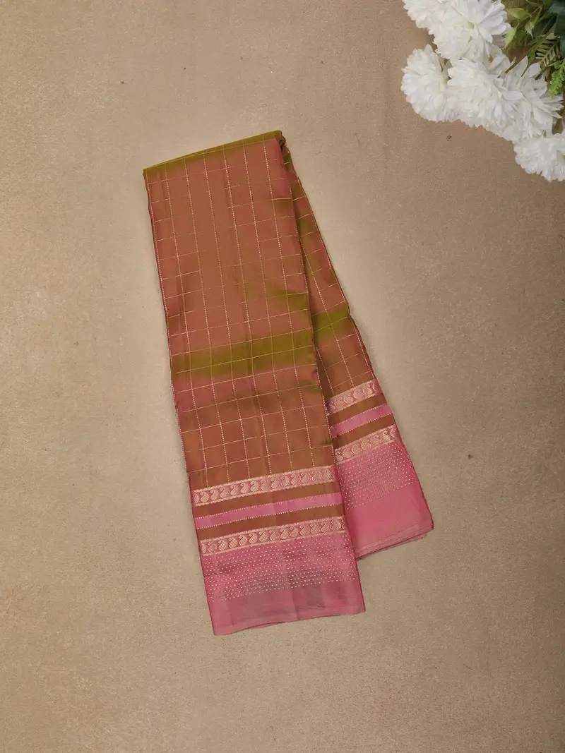 Brown Checked Zari Woven Design Kanchipuram Silk Saree With Contrast Paisley Border 1