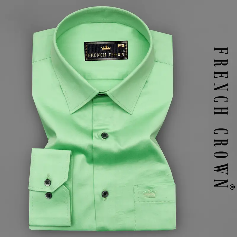 Celadon Green Subtle Sheen Super Soft Premium Cotton Shirt 7