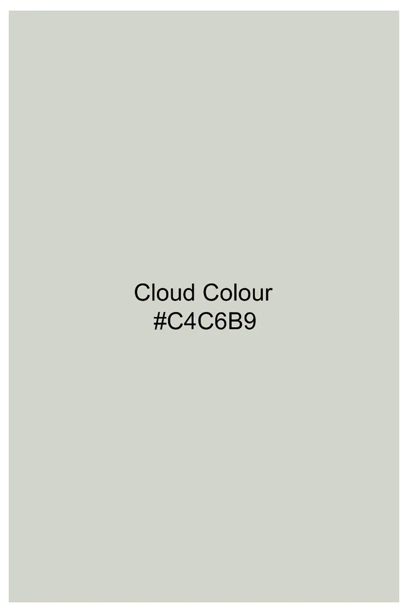 Cloud Green Premium Cotton Chinos Pant 7