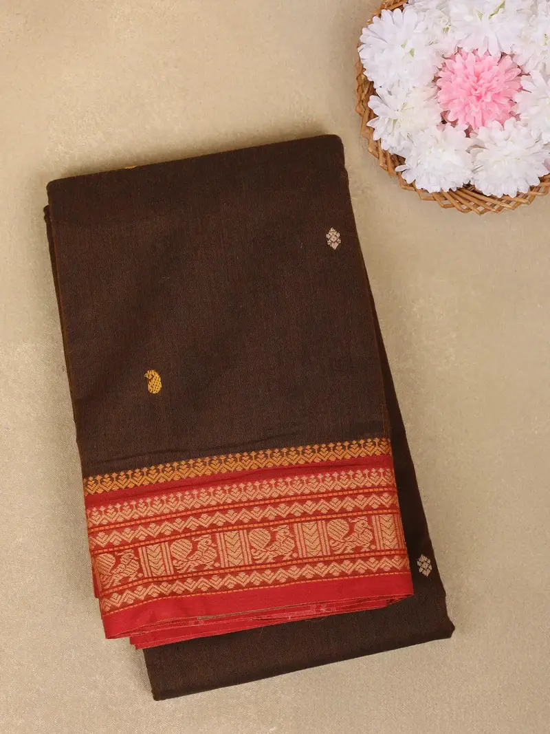 Coffee Brown Paisley Design Cotton Saree With Contrast Border 1