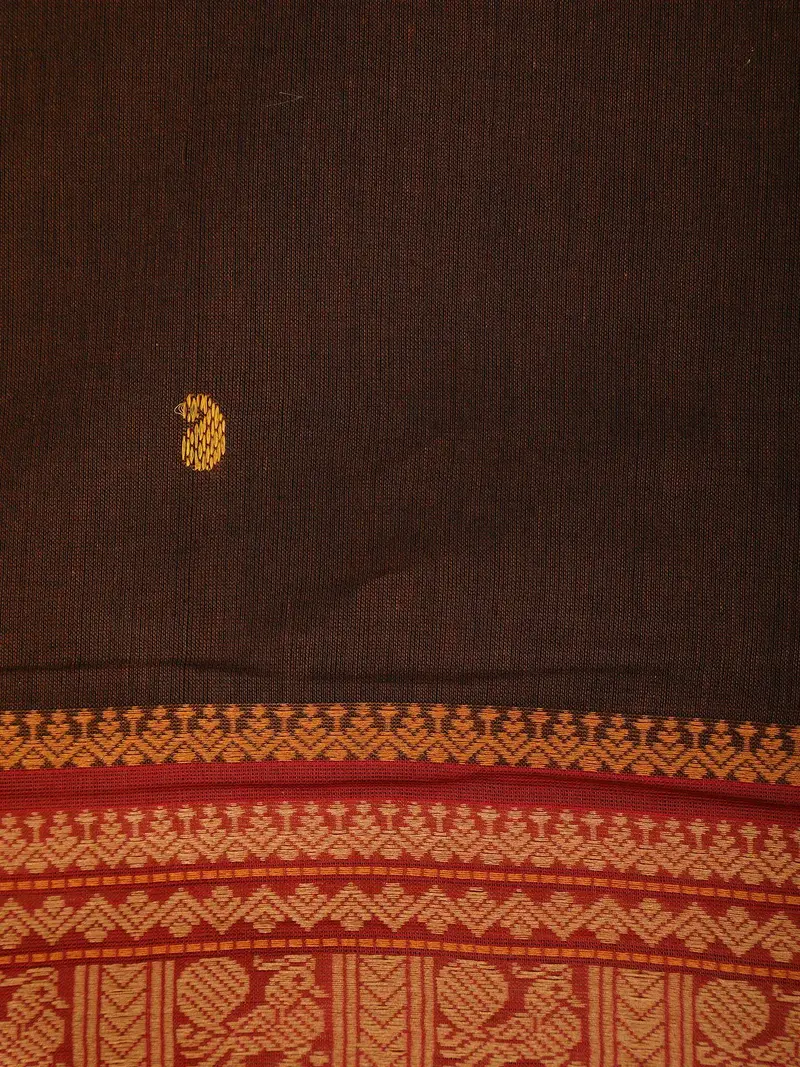 Coffee Brown Paisley Design Cotton Saree With Contrast Border 2