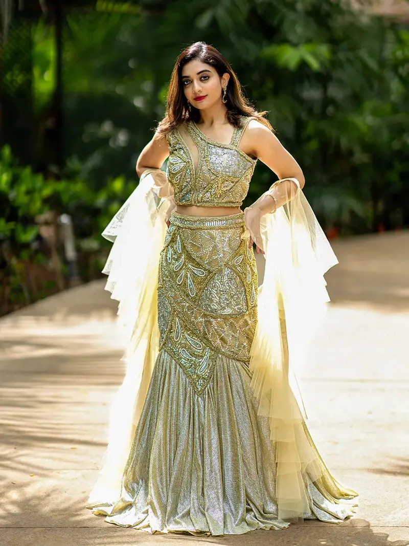 Dark Beige Party Wear Mermaid Lehenga 2