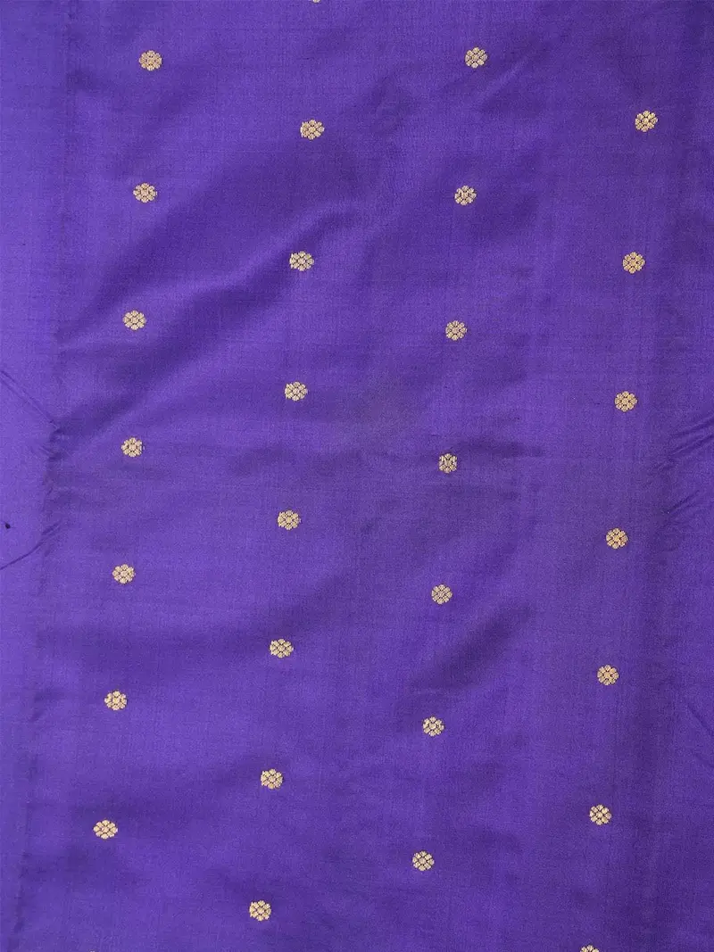 Dark Blue Banarasi Saree With Dot Floral Design On The Body And Zari Border 2