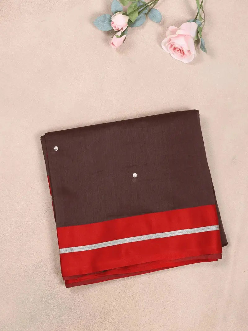 Dark Brown Organza Saree With Floral Designs On The Body And Paired With Designer Blouse 1