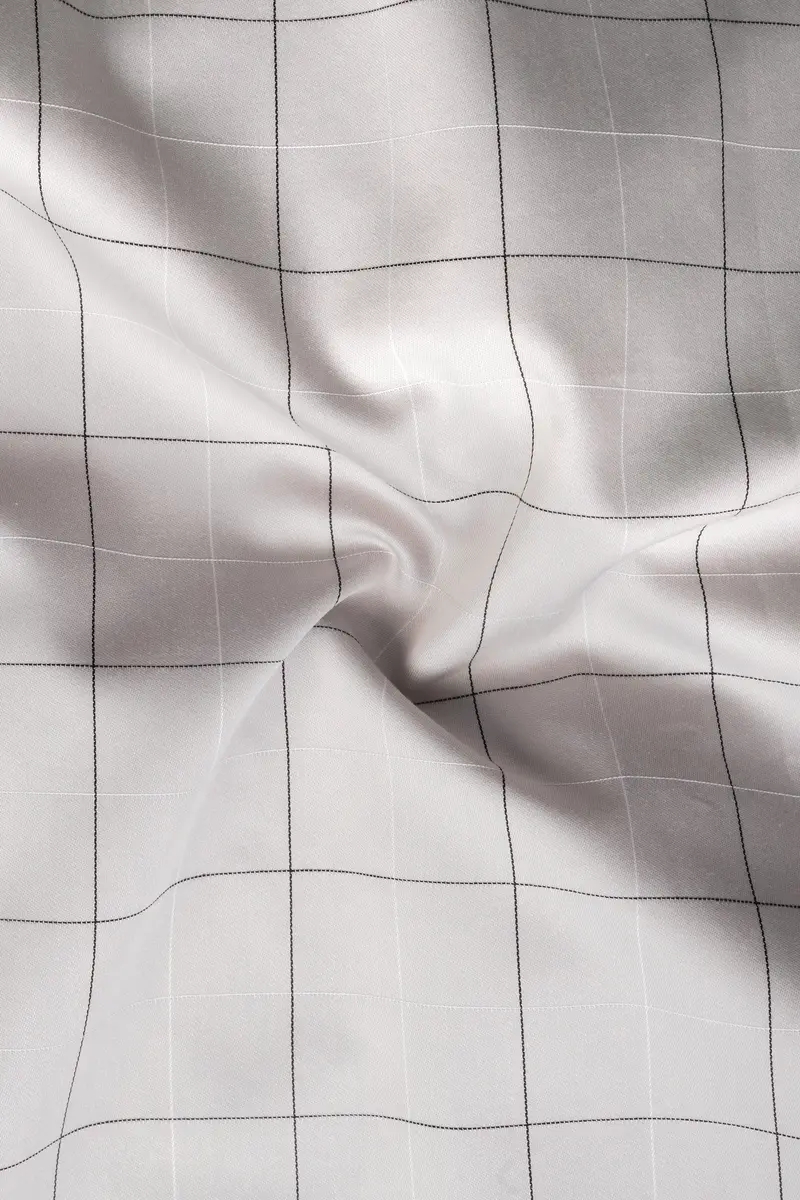 Delta Gray Windowpane Dobby Textured Premium Giza Cotton Shirt 2