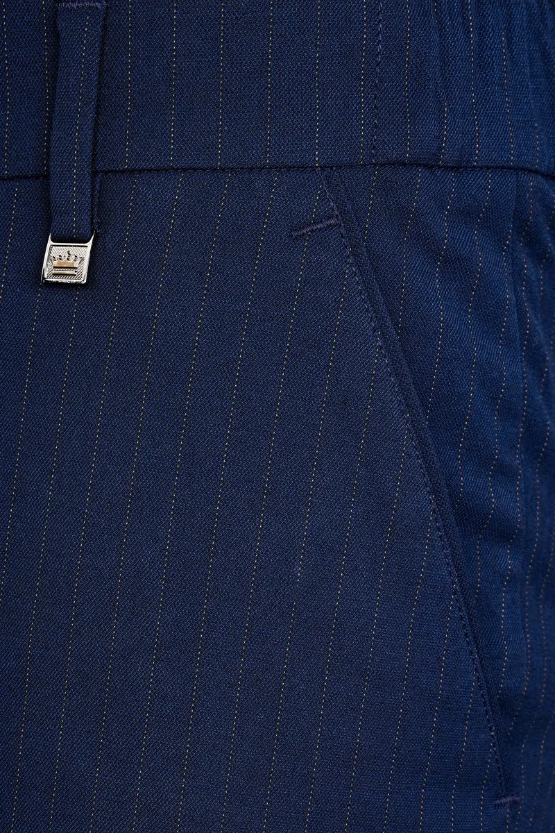 Ebony Clay Blue Striped Wool Rich Stretchable Waistband Pant 5