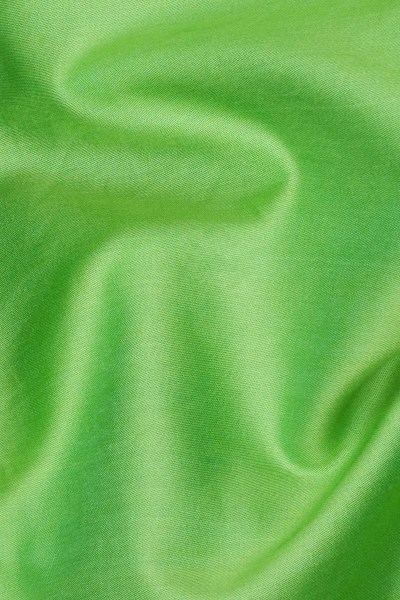 Frog Green Chambray Shirt 3