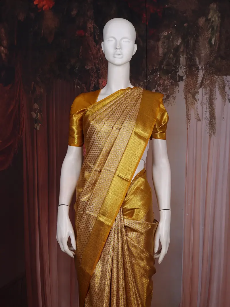 Golden Brocade Woven Kanchipuram Tissue Silk Saree 2