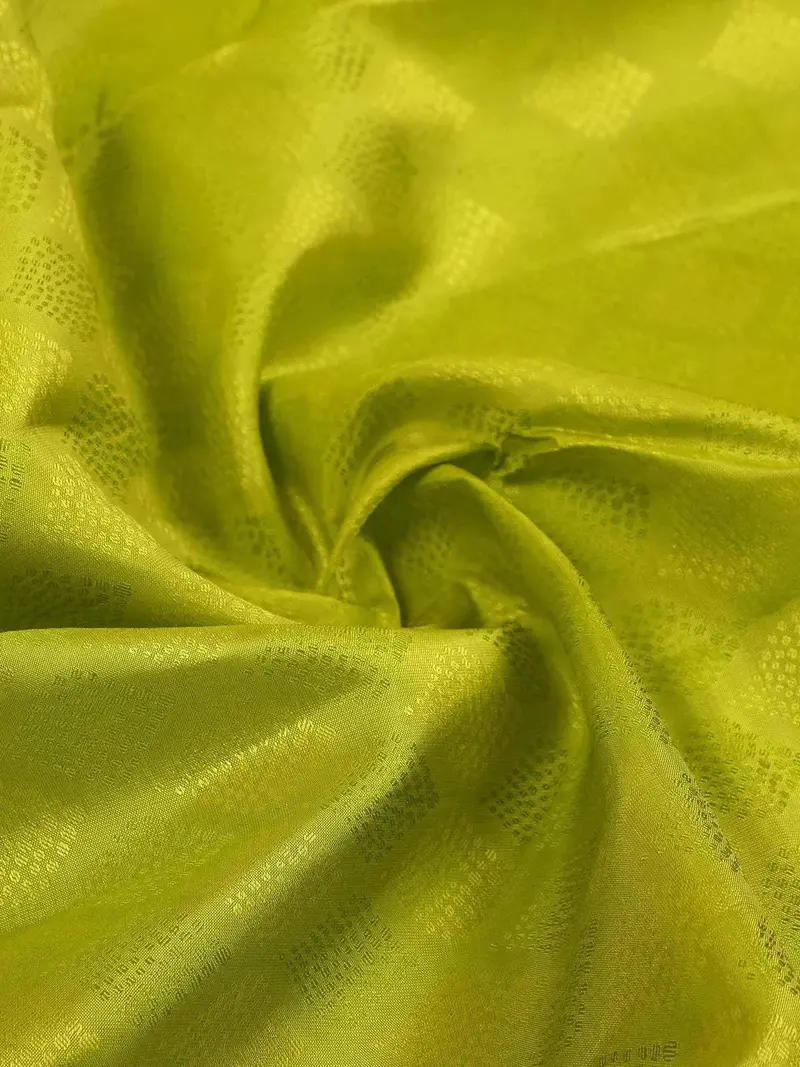 Green Pure Kanchipuram Bridal Silk Saree With Diamond Motifs On The Body And Without Border 2