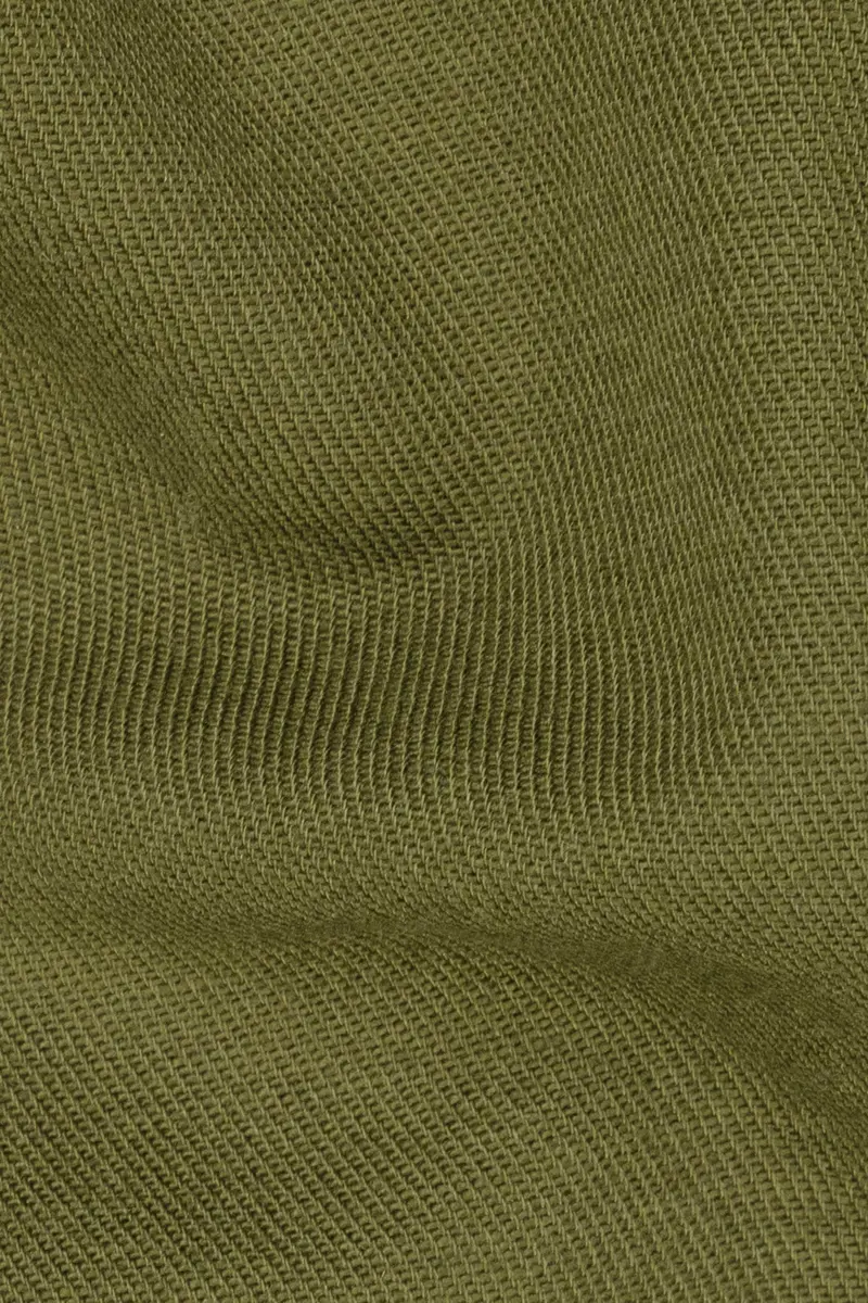 Hemlock Green Premium Cotton Palazzo 3