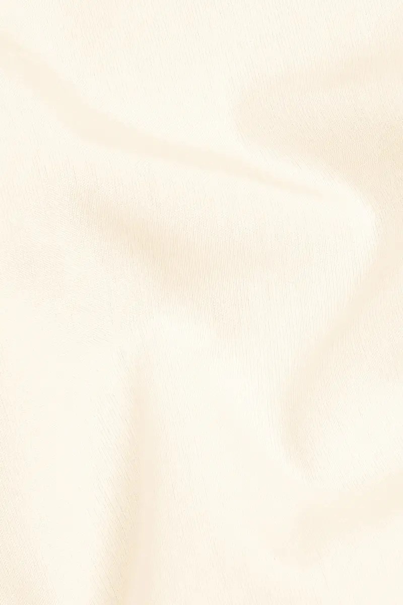 Janna Beige Subtle Sheen Viscose Kurta Set 3