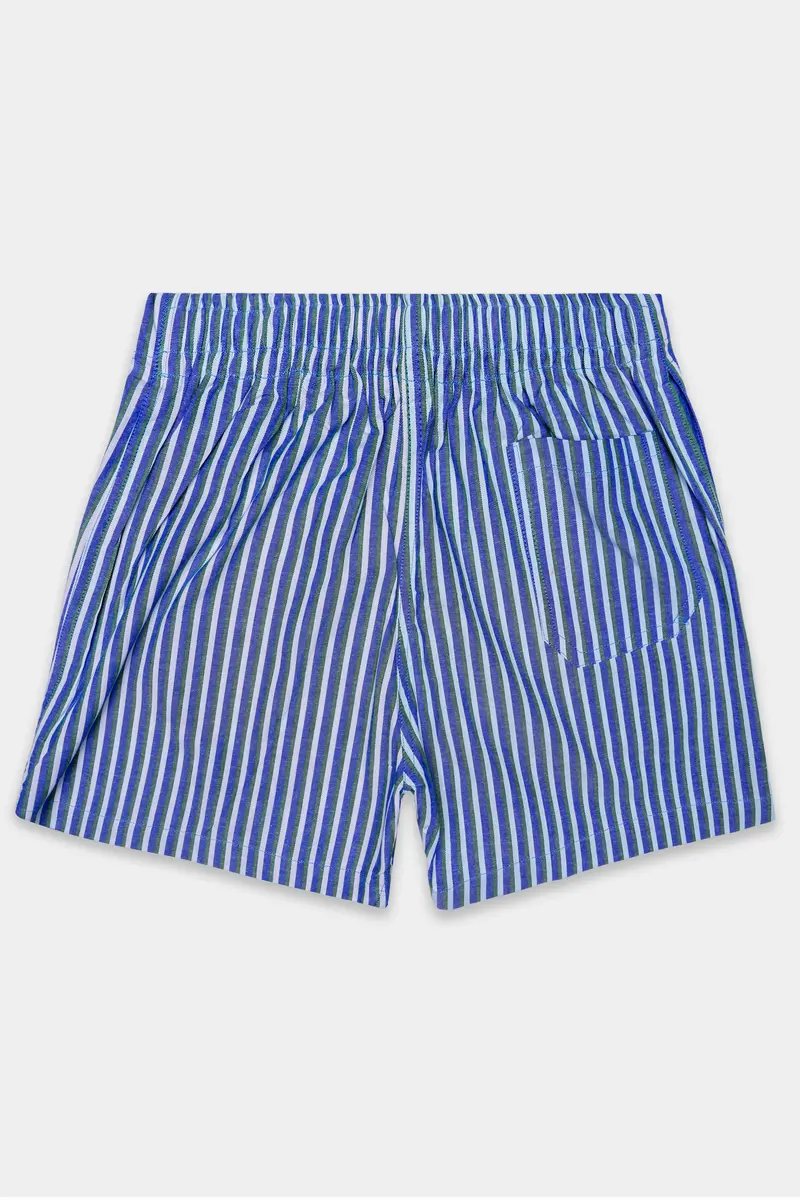 Languid Lavender With Warm Blue And Turquoise Gray Striped Oxford Premium Cotton Boxer 6