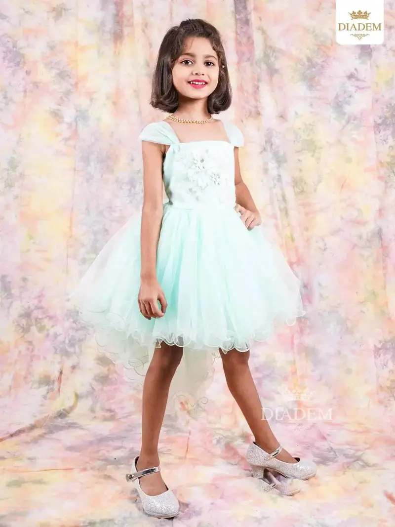Light Blue Frock Enhanced In Floral Design Laces 1