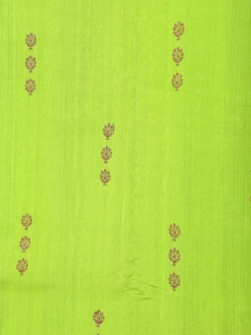 Light Green Banarasi Saree With Floral Design On The Body With Contrast Zari Border 2