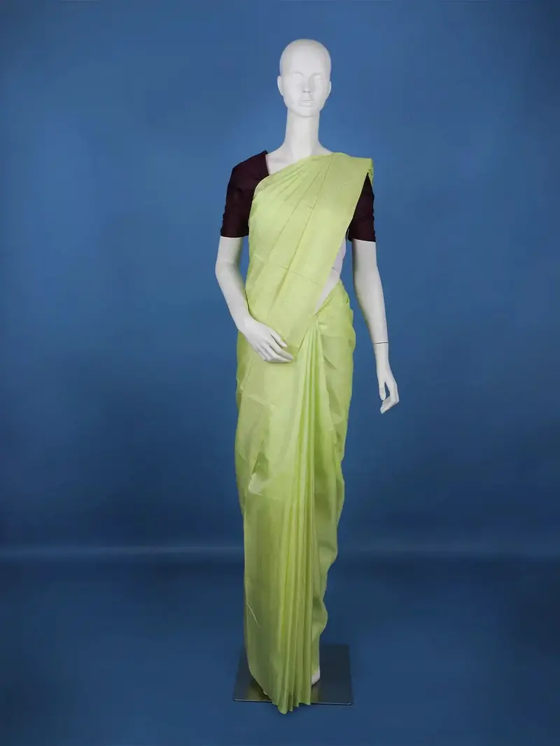 Light Green Checked Woven Pure Kanchipuram Silk Saree 1