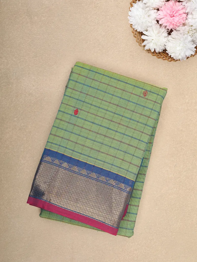 Light Green Checks Design Cotton Saree With Blue Zari Woven Border 1