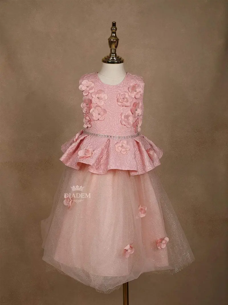 Light Pink Net And Satin Gown Adorned With 3D Flowers 1