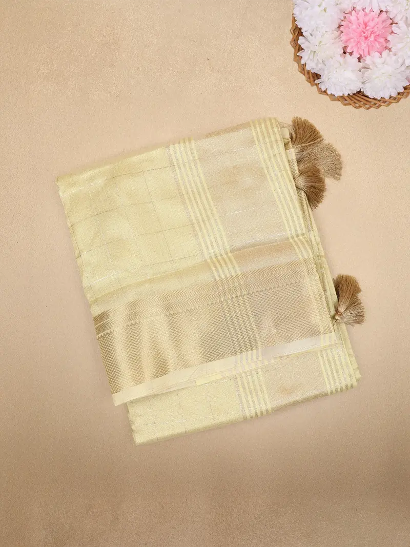Light Yellow Checked Woven Tissue Saree With Zari Border 1
