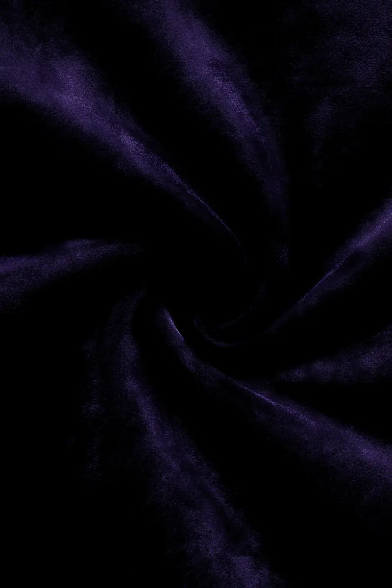 Majesty-Affair Royal Purple Velvet Stretchable Waistband Pant 3