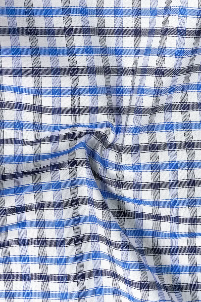 Marguerite Blue And Bright White Checked Dobby Textured Premium Giza Cotton Shirt 2