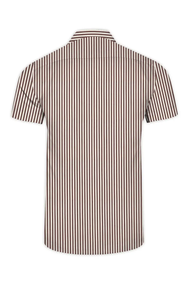 Millbrook Brown And White Striped Premium Cotton Designer Shirt 6