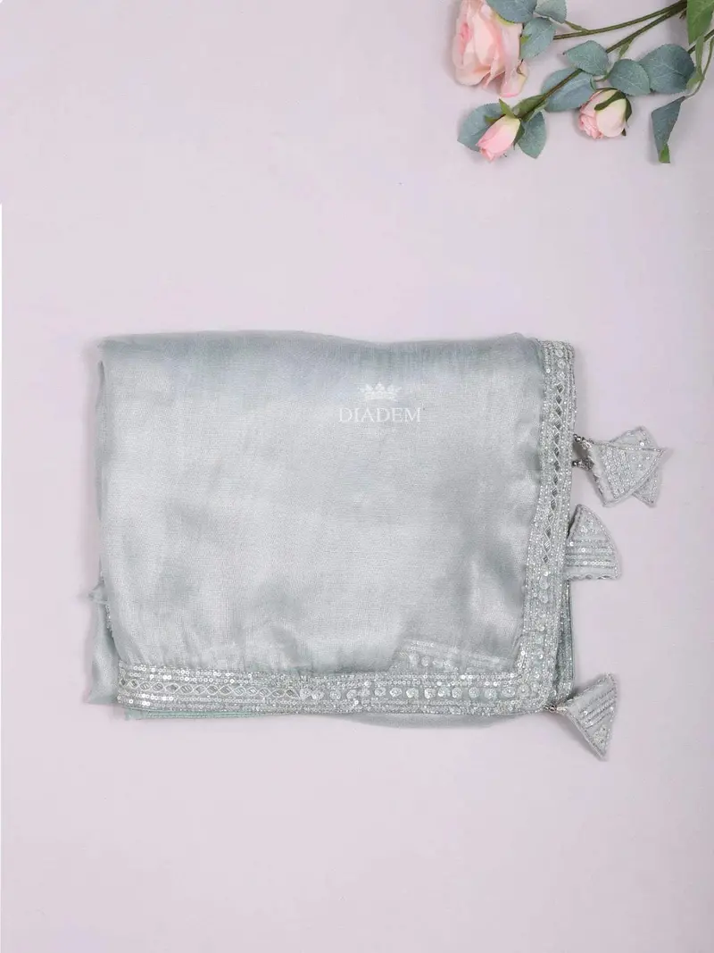 Mint Tissue Organza Saree With Plain Body And Embroidered Border Paired With Designer Blouse 1