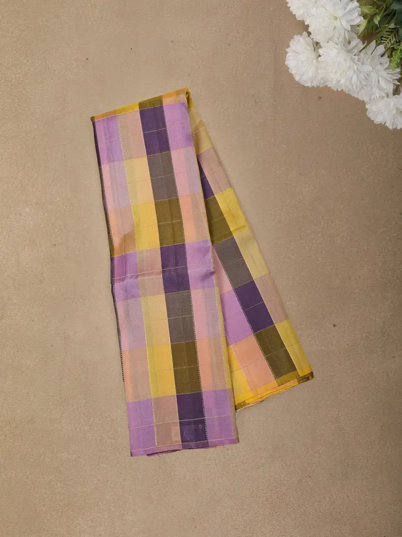Multicolor Checked Woven Design Kanchipuram Silk Saree With Self Border 1