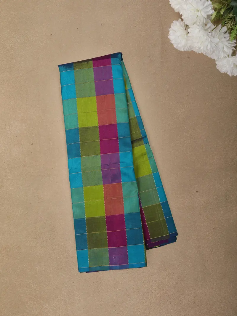 Multicolor Checked Woven Design Kanchipuram Silk Saree With Self Border 1