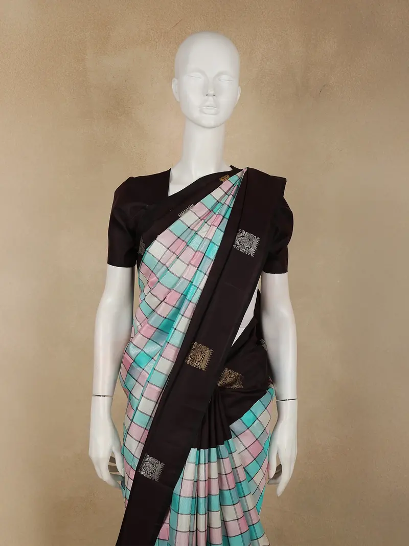 Multicolor Checks Woven Design Pure Kanchipuram Silk Saree With Contrast Zari Border 2