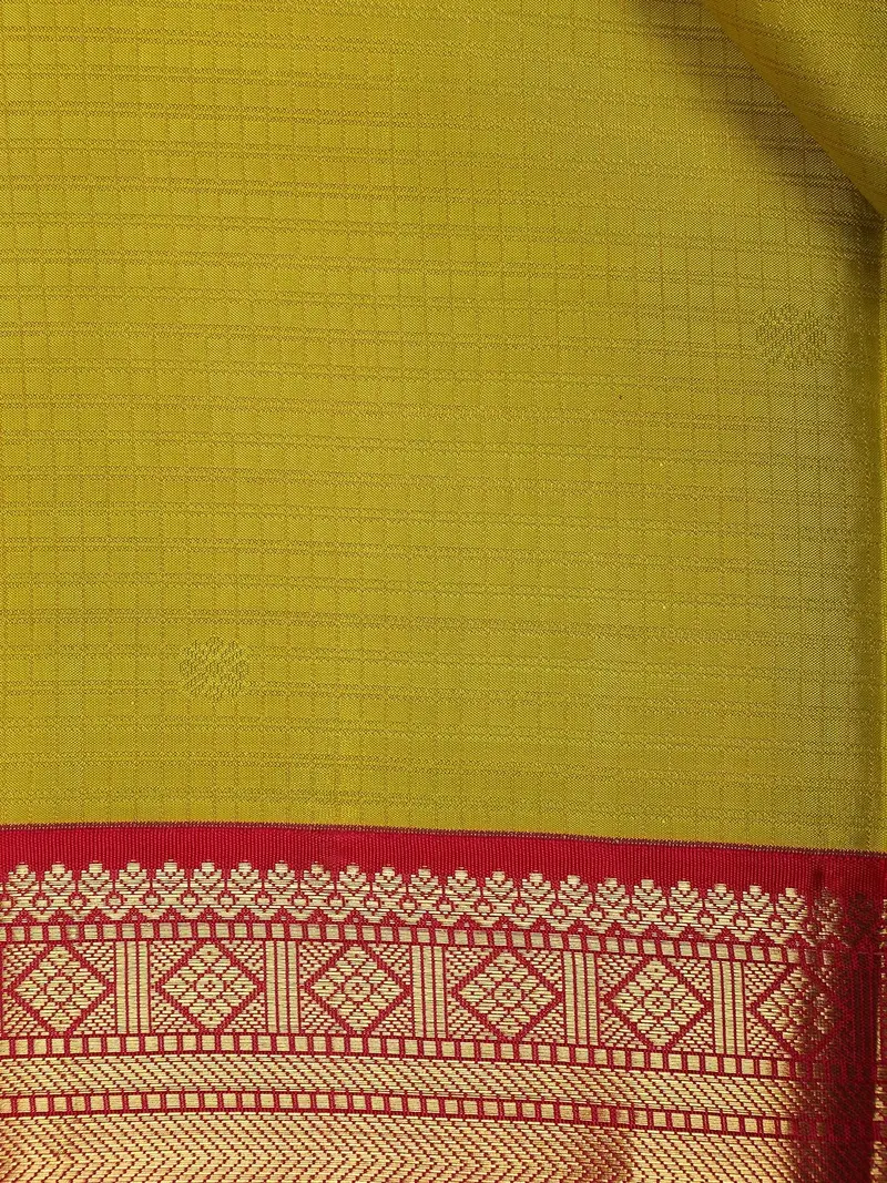 Parrot Green Checked Designs Pure Kanchipuram Silk Saree 2