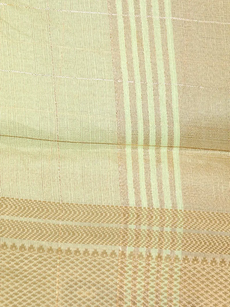 Pastel Green Checked Woven Tissue Saree With Zari Border 2