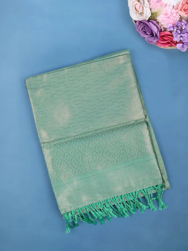 Pastel Green Minimal Design Woven Tissue Silk Saree 1
