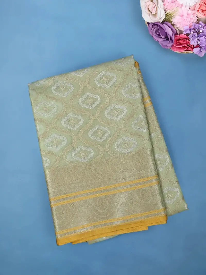 Pastel Green Paisley Motifs Tissue Silk Saree 1